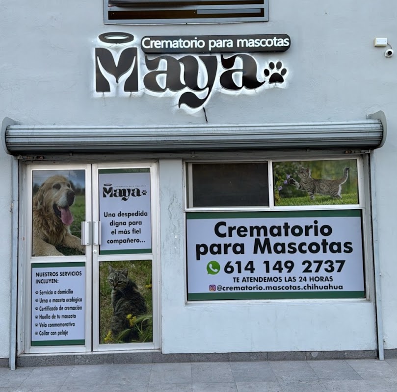 Funeraria MAYA Crematorio para Mascotas Chihuahua