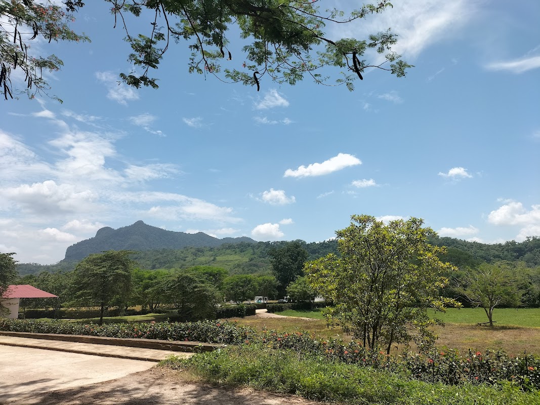 Funeraria Recinto Memorial Jardines de San Fernando